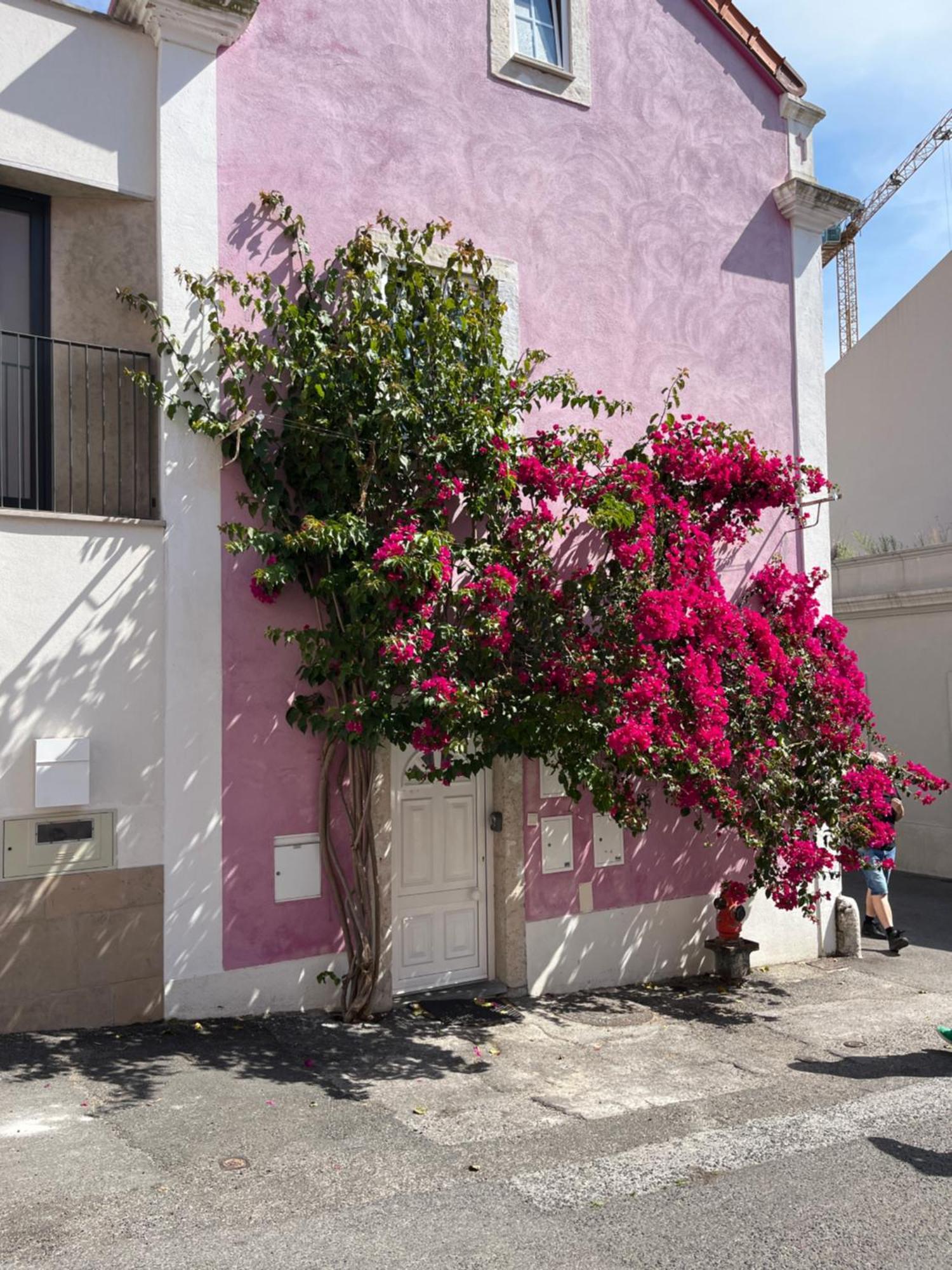 Apartamento Casa Cor De Rosa Lisboa