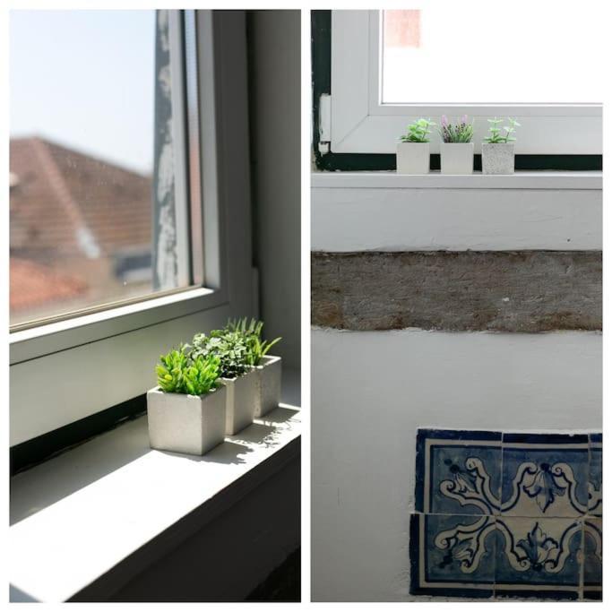 Appartement Location Spacious Charming 2 Great Views *