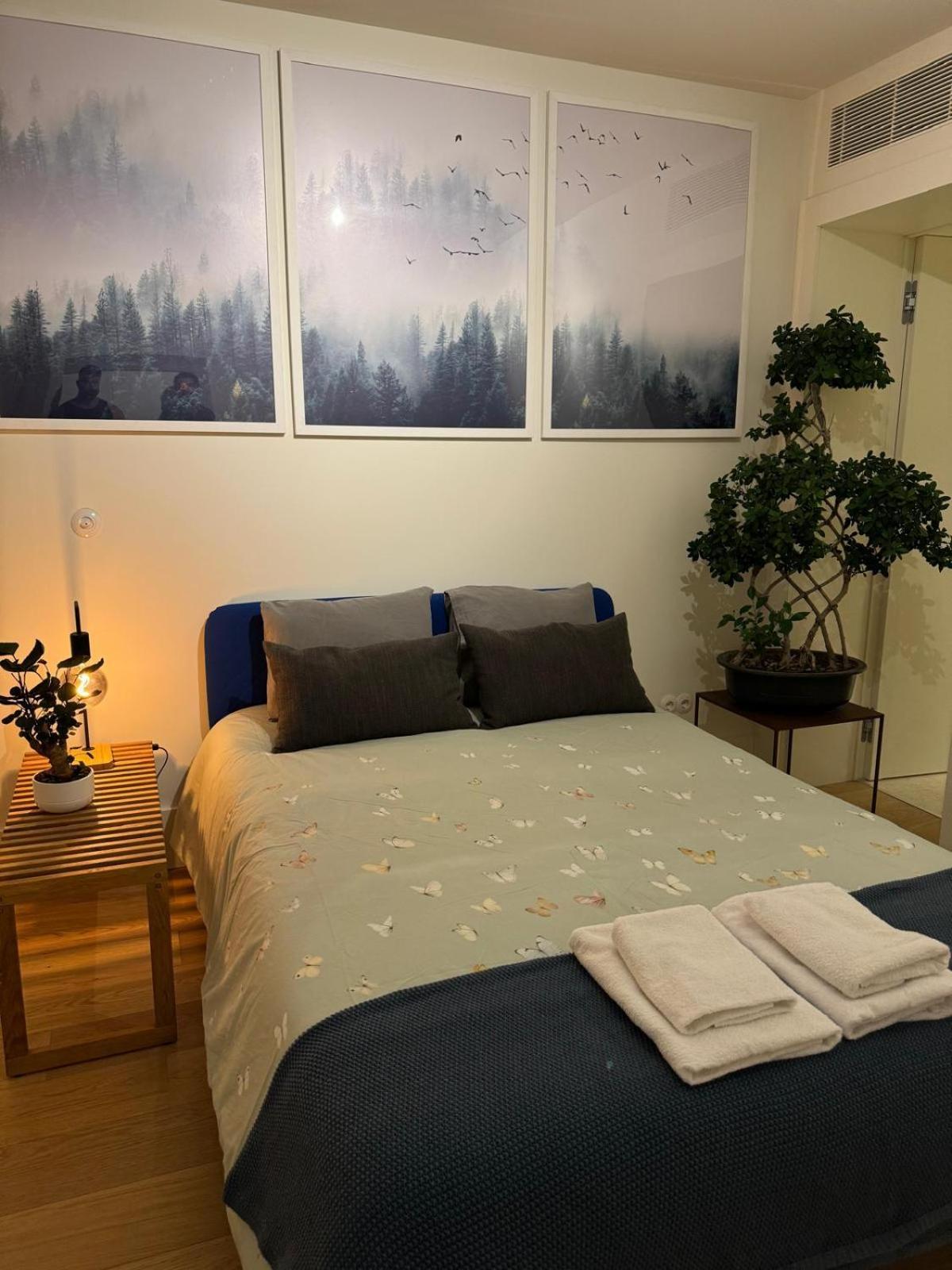 Quarto em Acomodações Particulares Magnifico Com Wc Privativo Augusta Street *