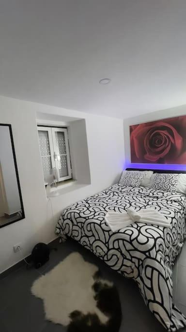 Family Graca Appartement *