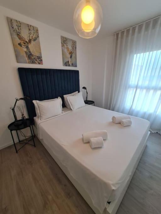 Expo Comfort & Style By S Soares Appartement