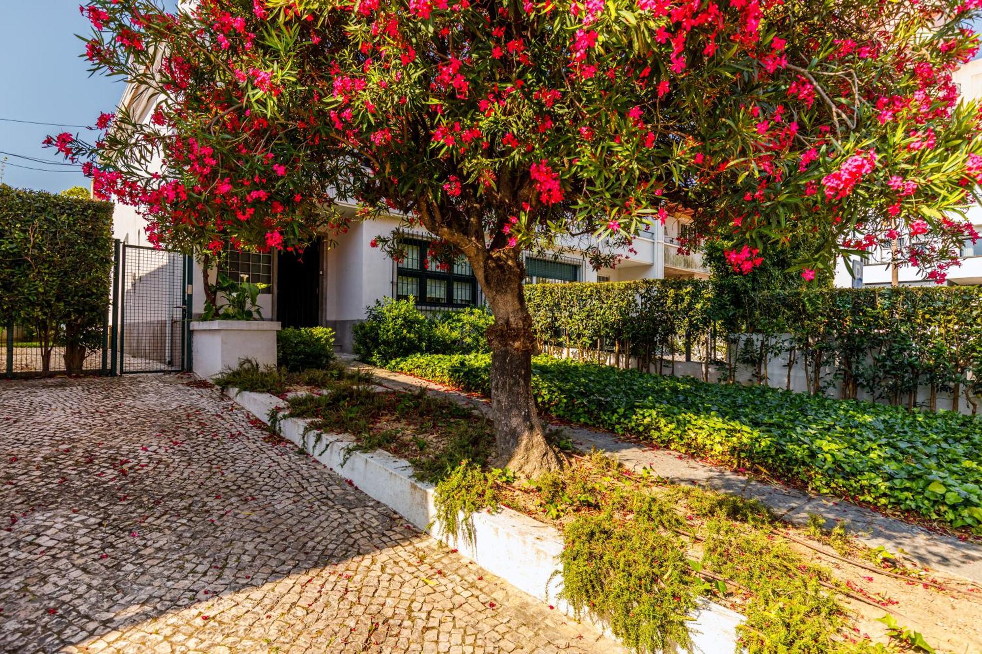 Hébergement de vacances Casa Da Laurentina - Charm & Garden Lisboa