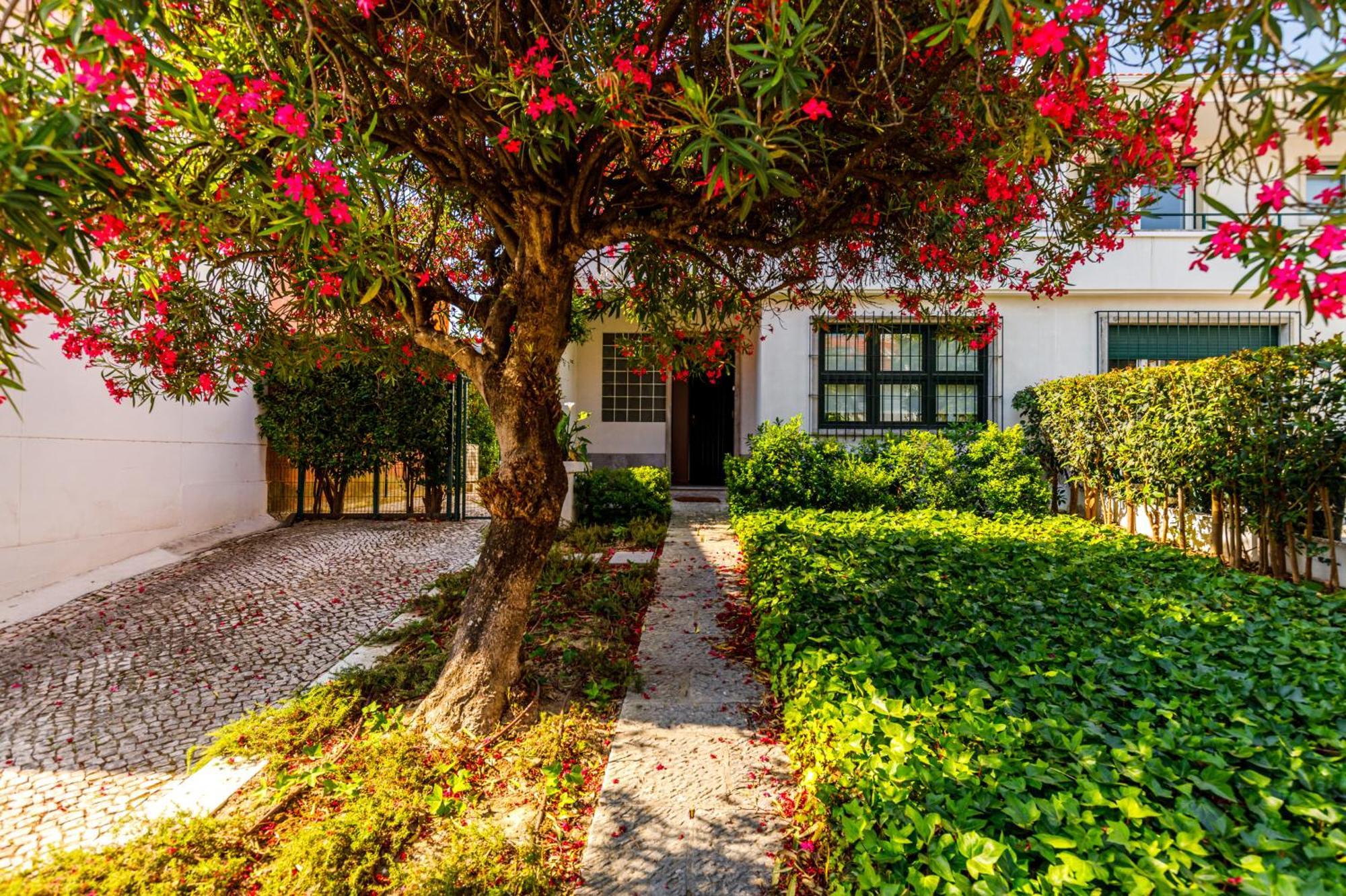 Casa Da Laurentina - Charm & Garden Hébergement de vacances *