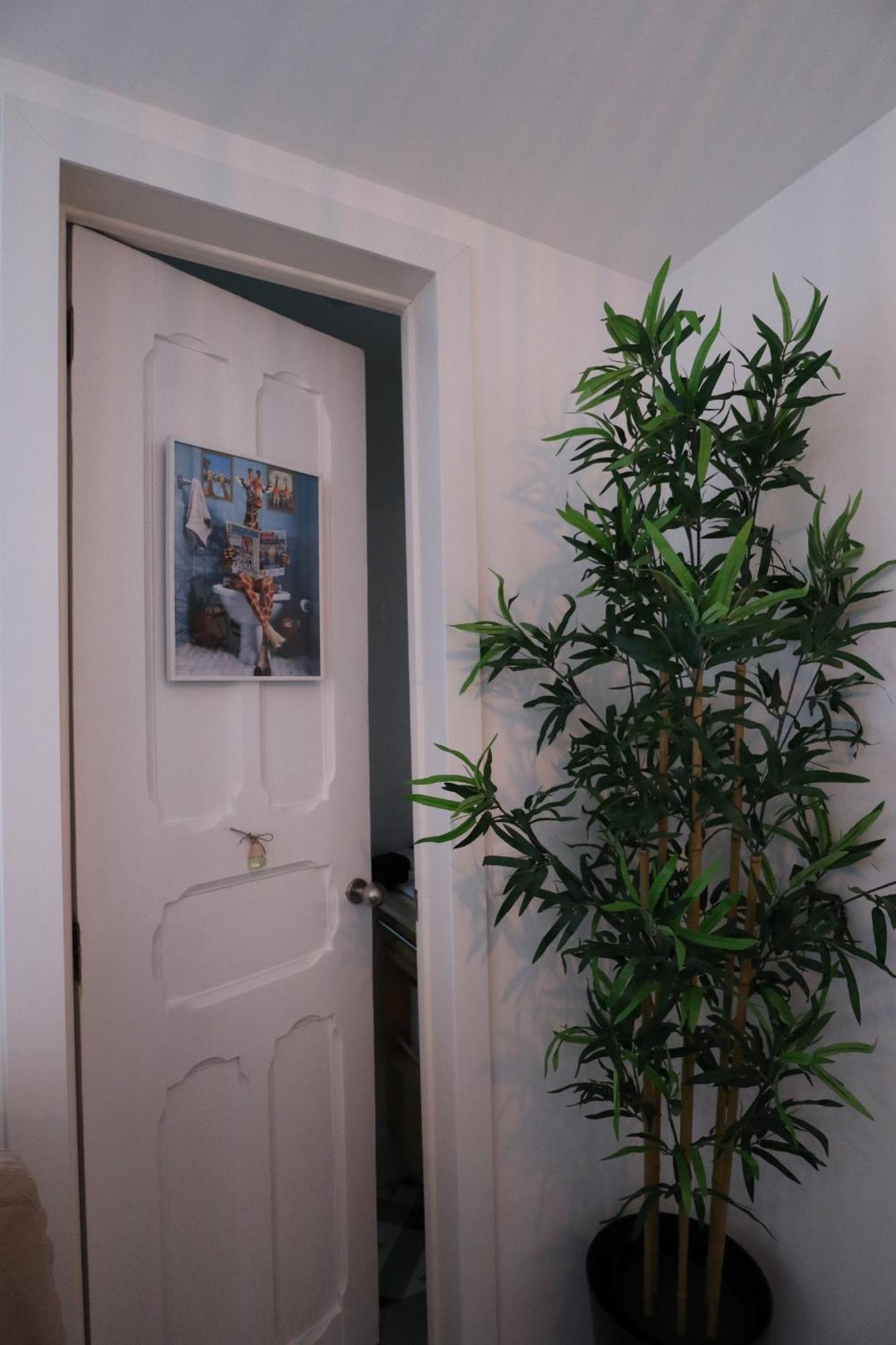 Giraffe House Appartement *