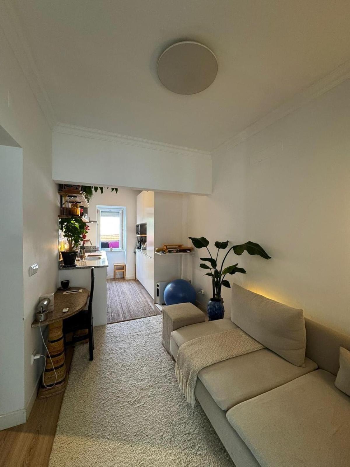 Cosy Campo De Ourique Appartement