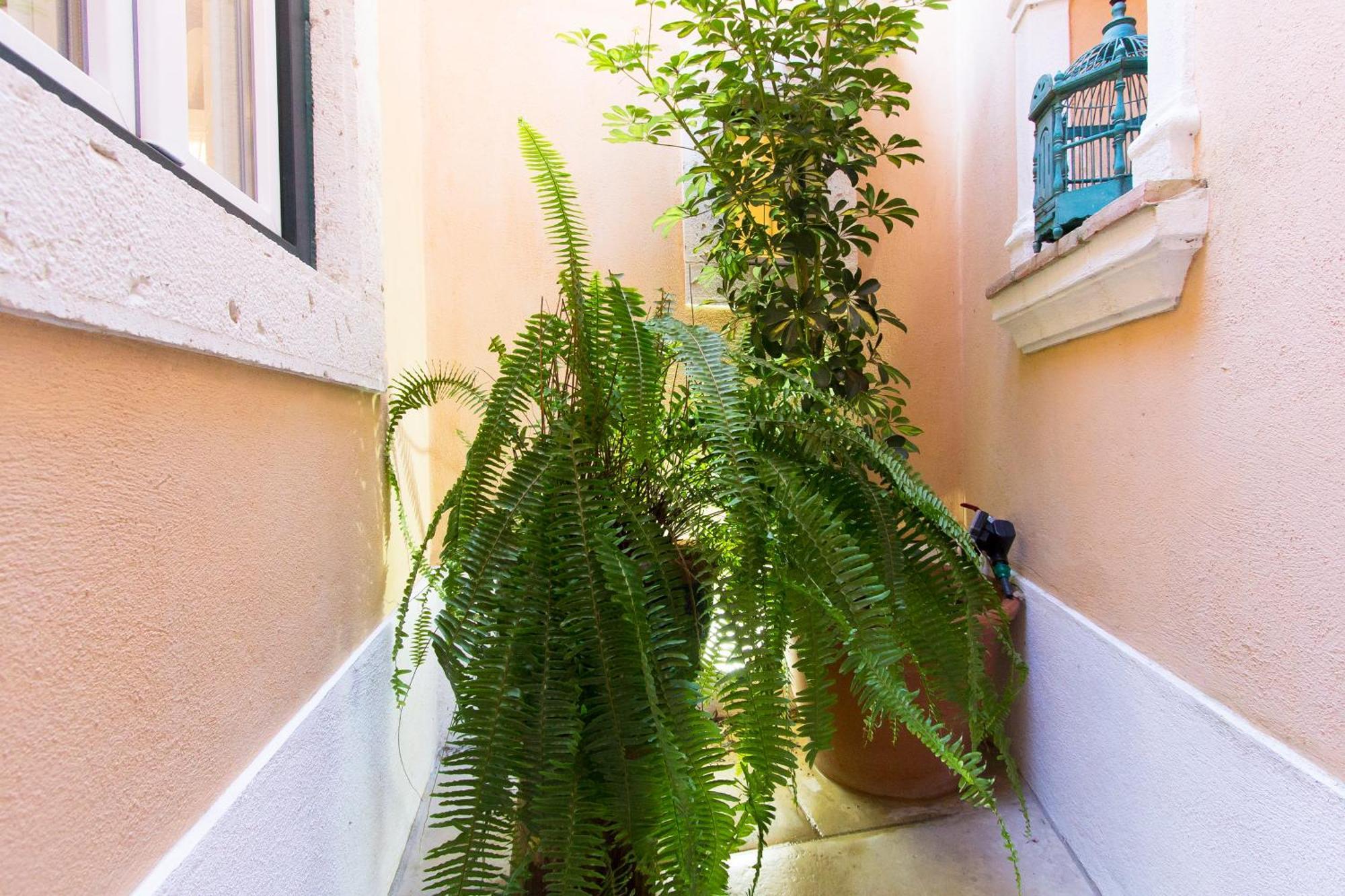 Domingues Lissabon