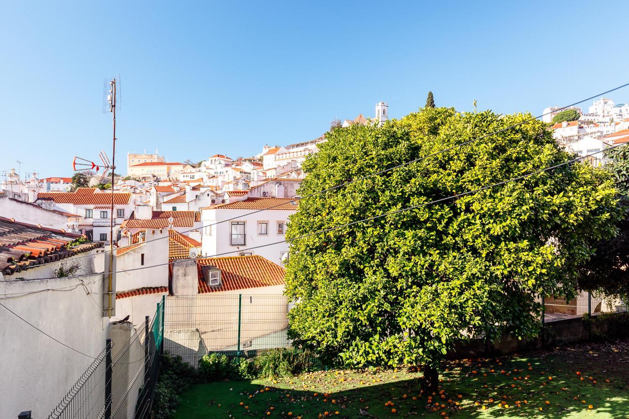 Pateo Santo Estevao-self Catering *