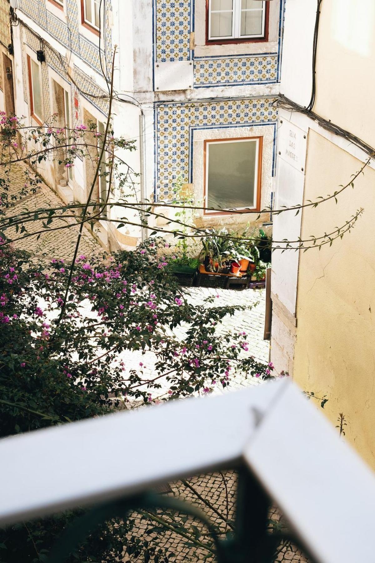 Appartement New - Swallow's Garden *