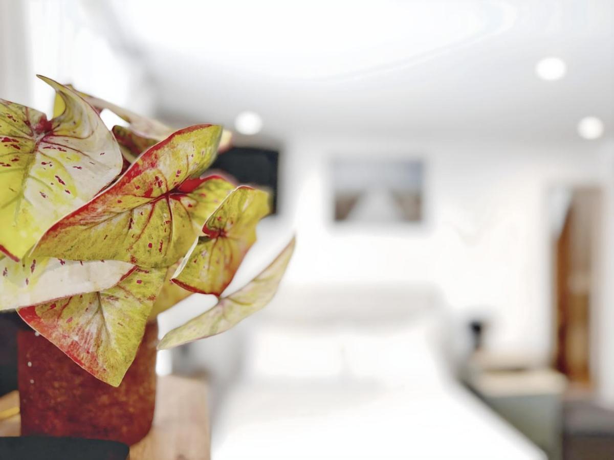 Appartement Alfacinha Fully Equipped By Homeful Homes Lisboa