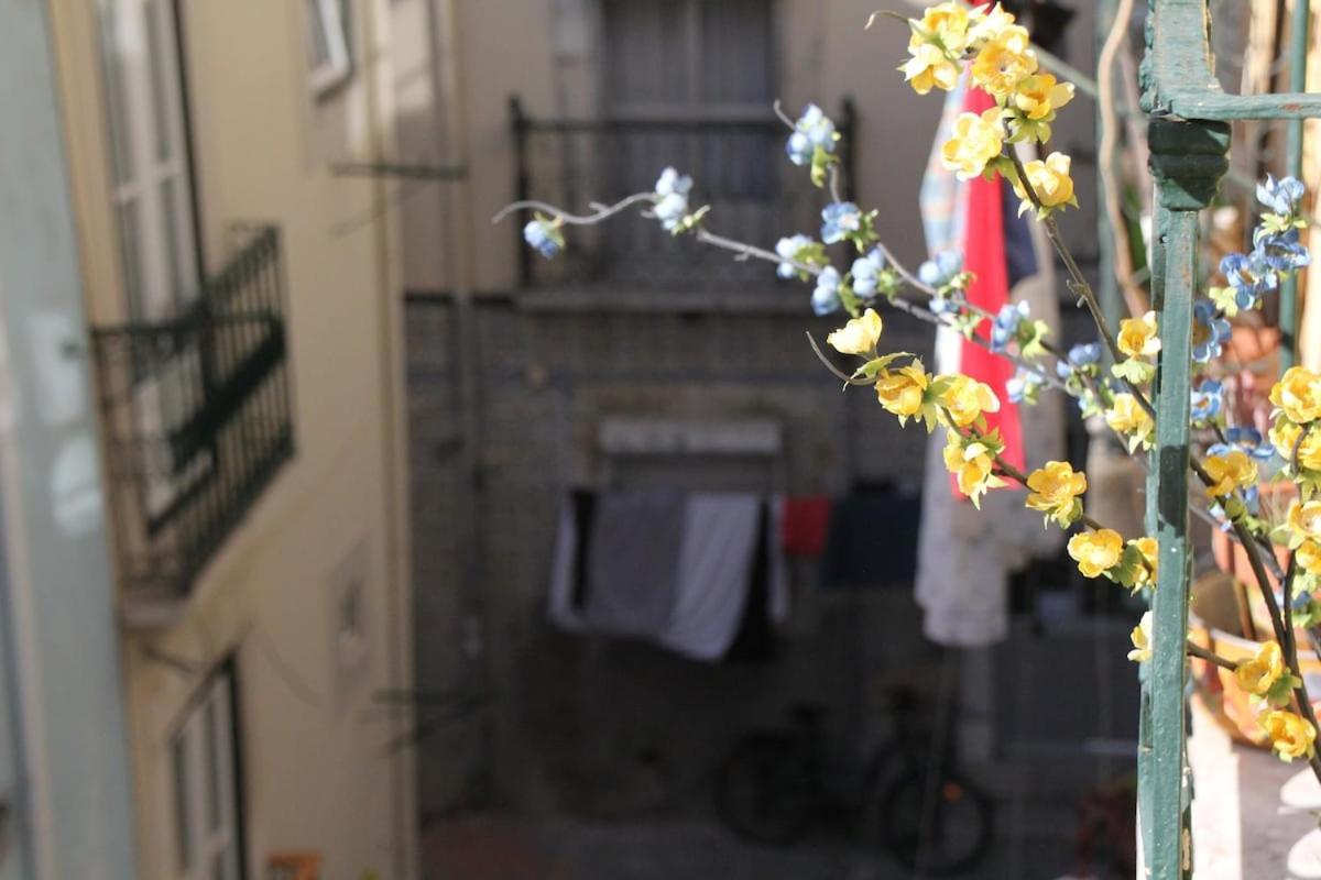 Martim Vaz Ii - Downtown * Lisboa