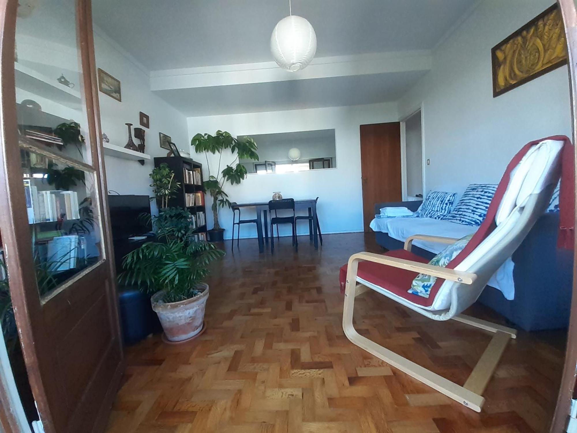 Fonte Nova - Pet Friendly *