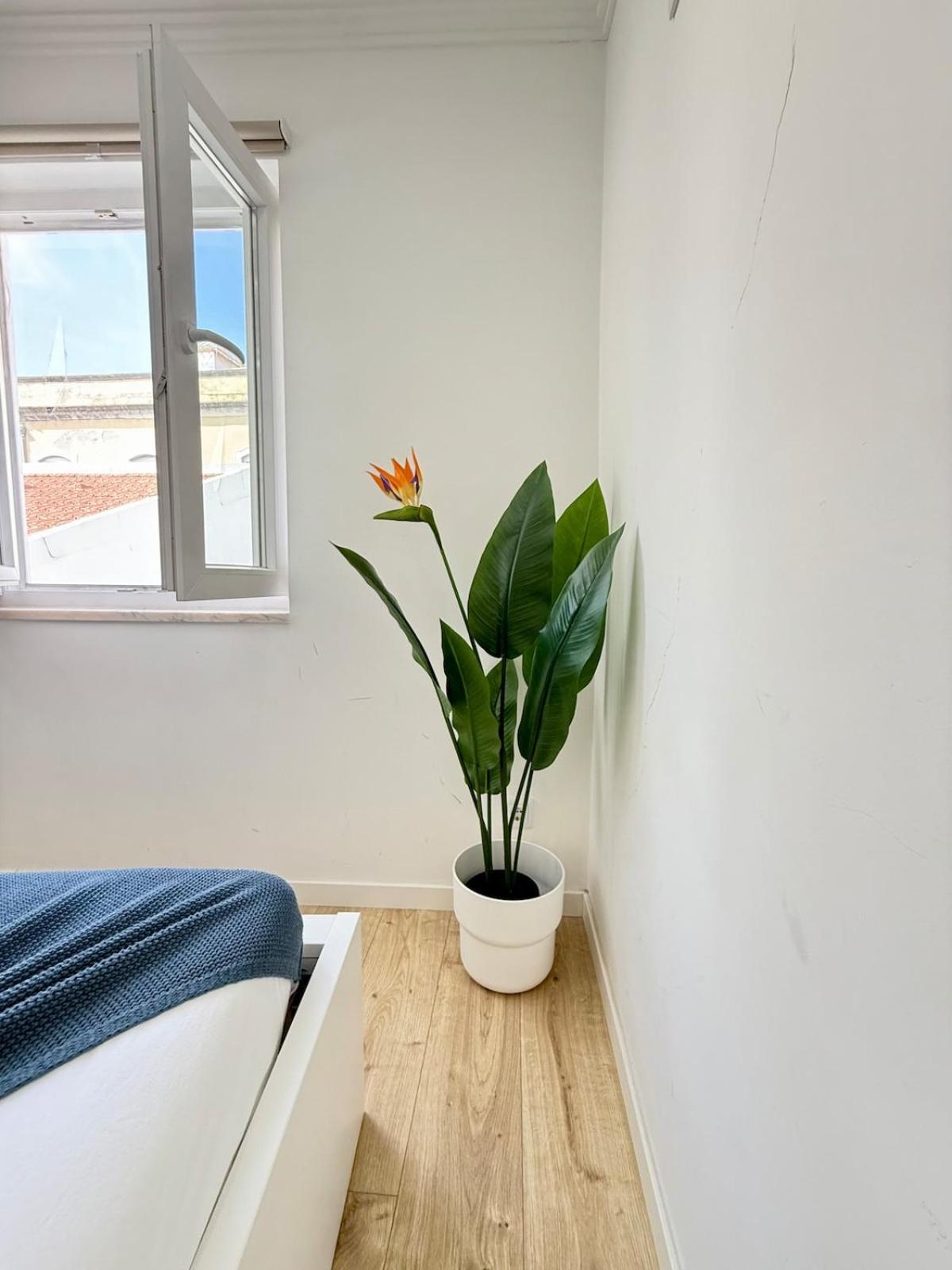 Paraiso Secreto Appartement