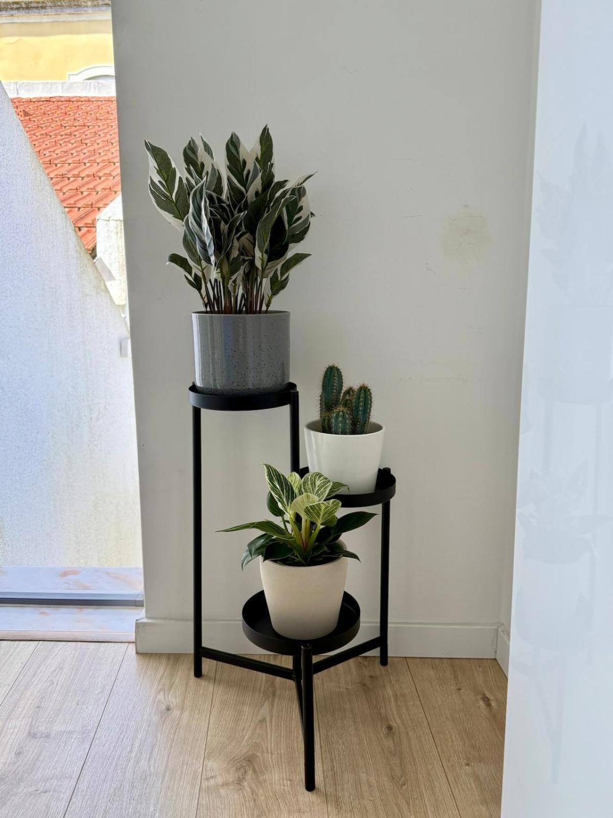 Appartement Paraiso Secreto