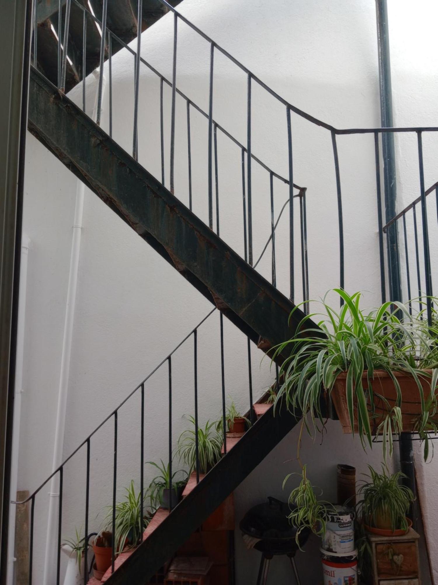 Apartment Tonic Flat