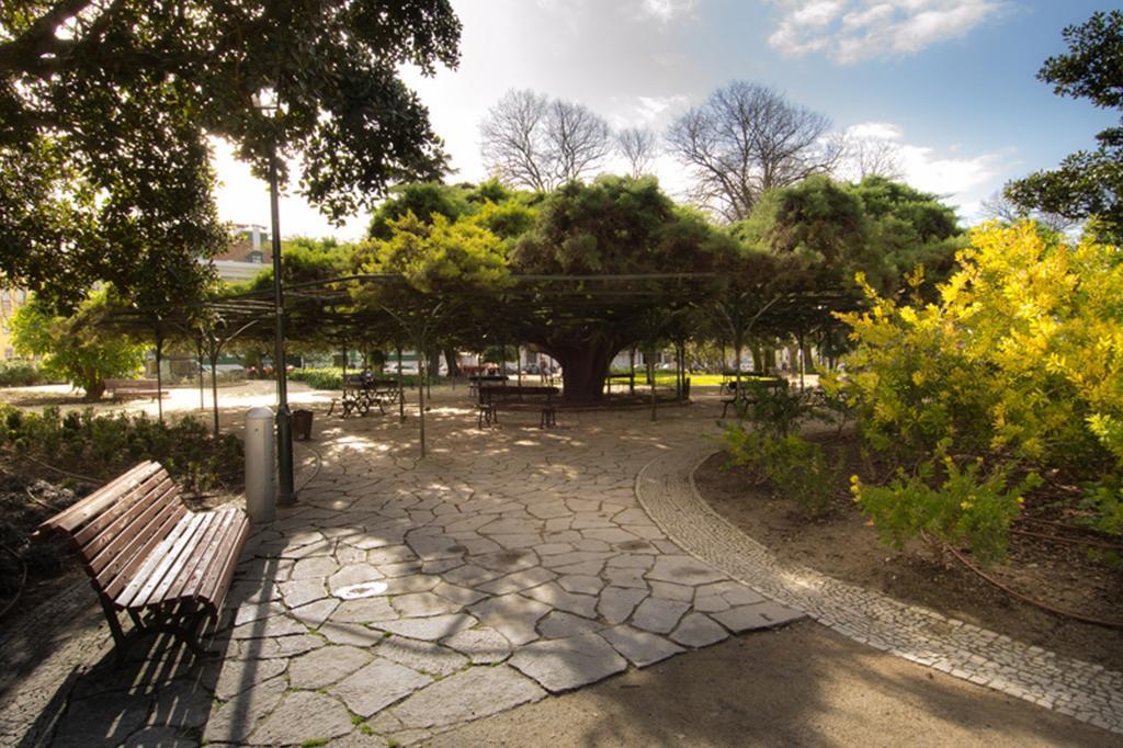Apartment Alegria Center Lissabon