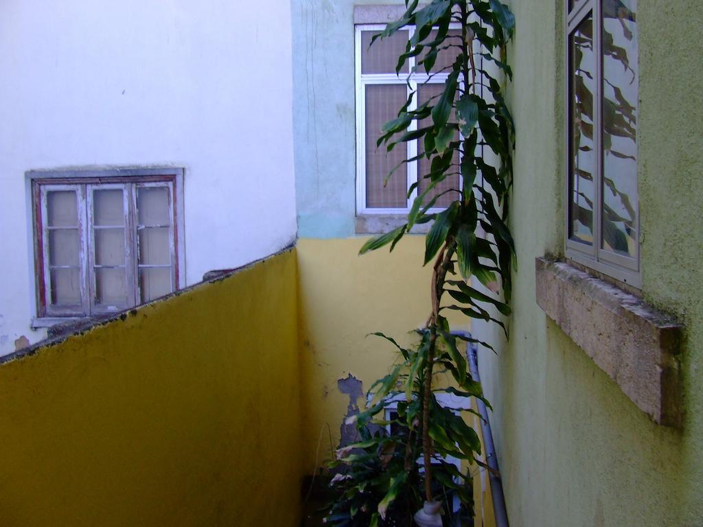 Appartement Larexport - Chile