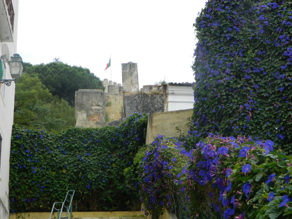 Appartement Enjoy Mouraria *