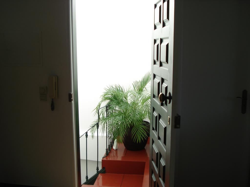 Belen Center Riverview Lisboa