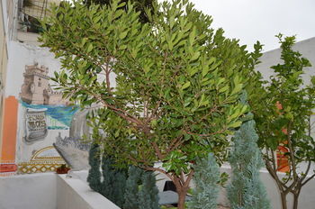 Terrace Lissabon