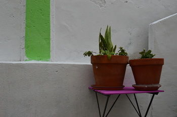 Terrace Hostel *