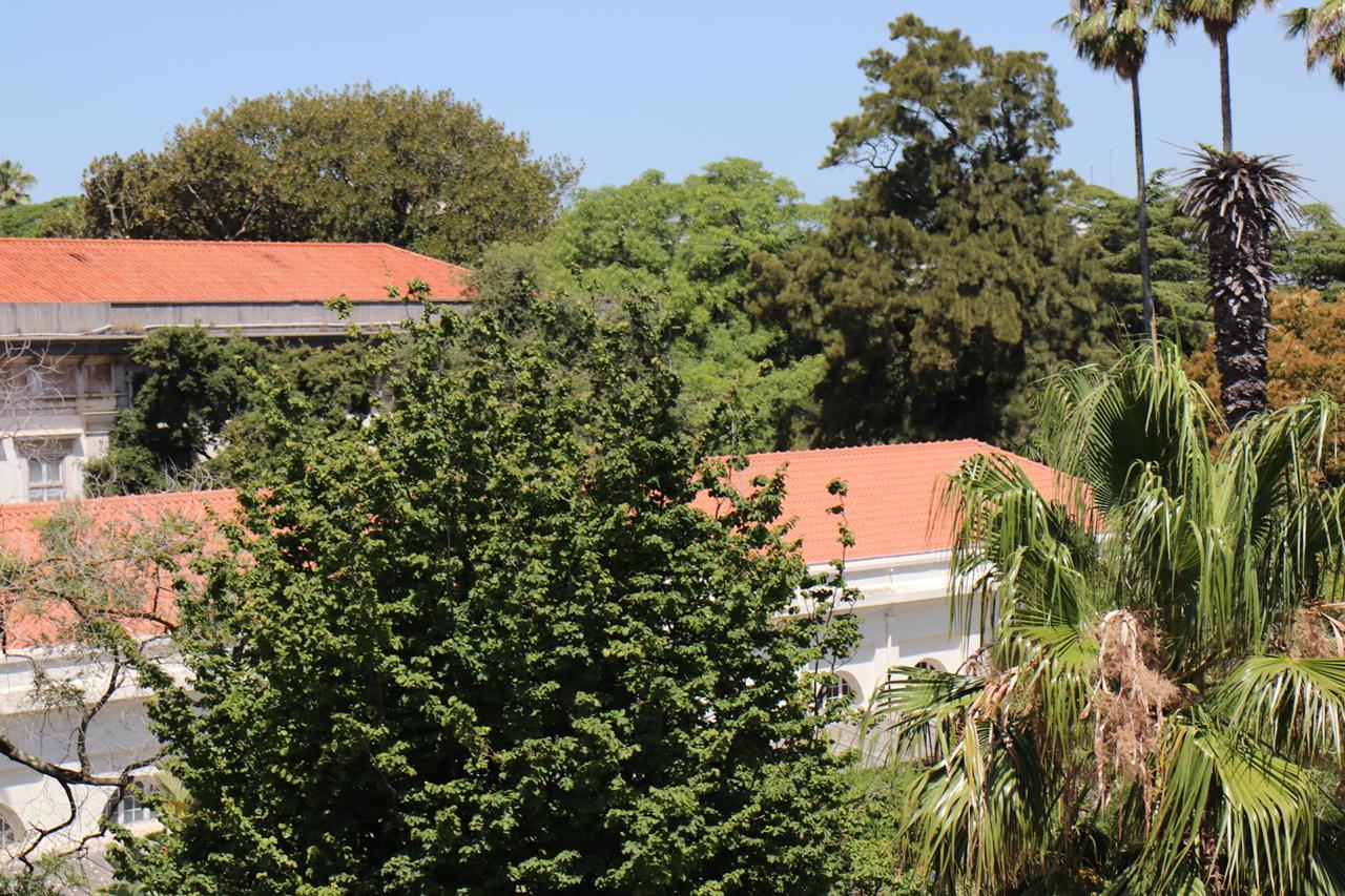 Botanic Views Casa de hóspedes 3*