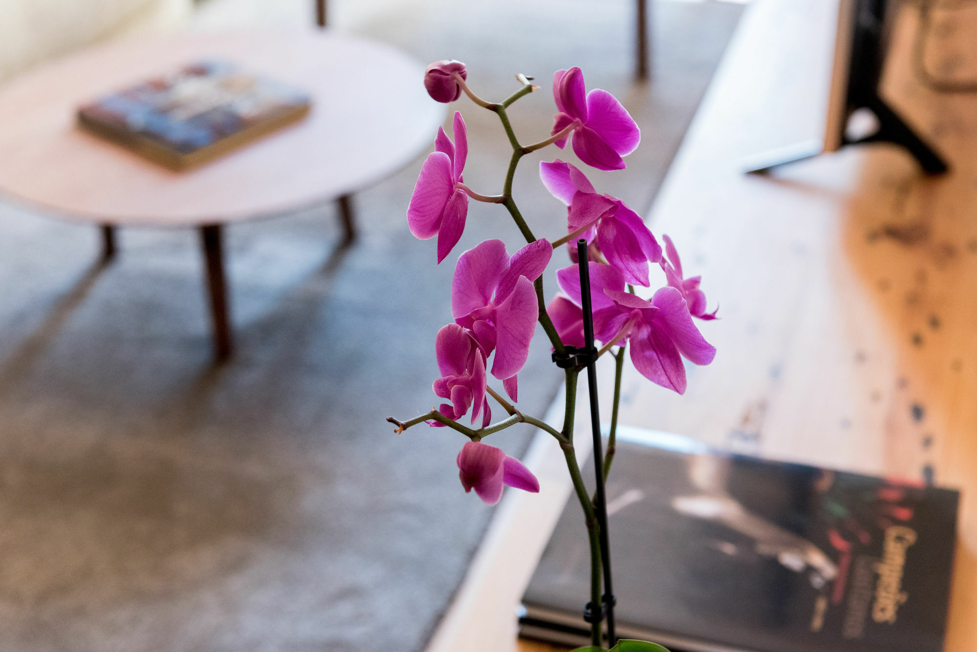Apartamento Flora Chiado Lisboa