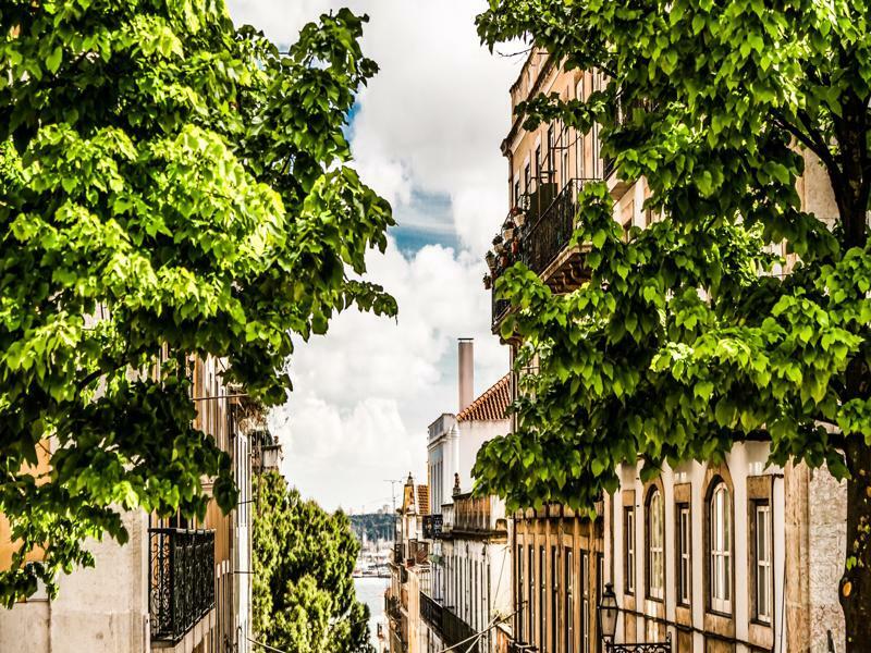 Flores 105 Lissabon