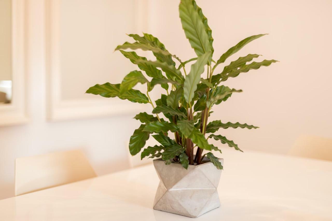 Alfama Modern Two-bedroom W/ River View And Parking - By Lu Holidays Appartement *