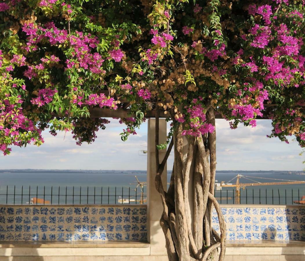 Xavier - Alfama River View * Lisboa