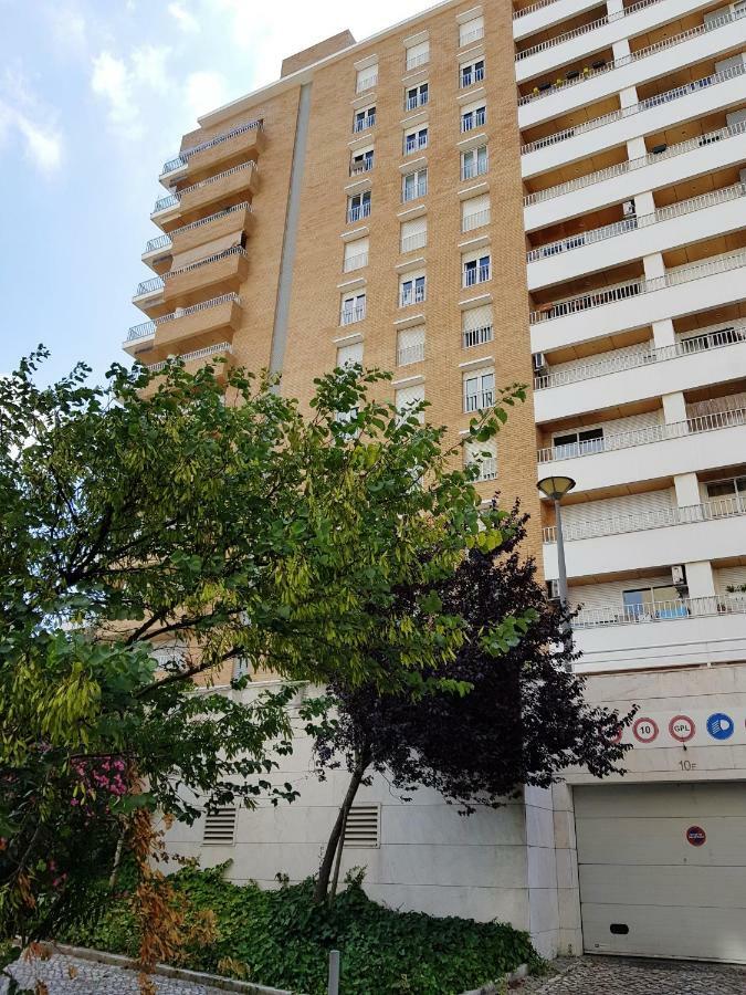 My In Apartamento *