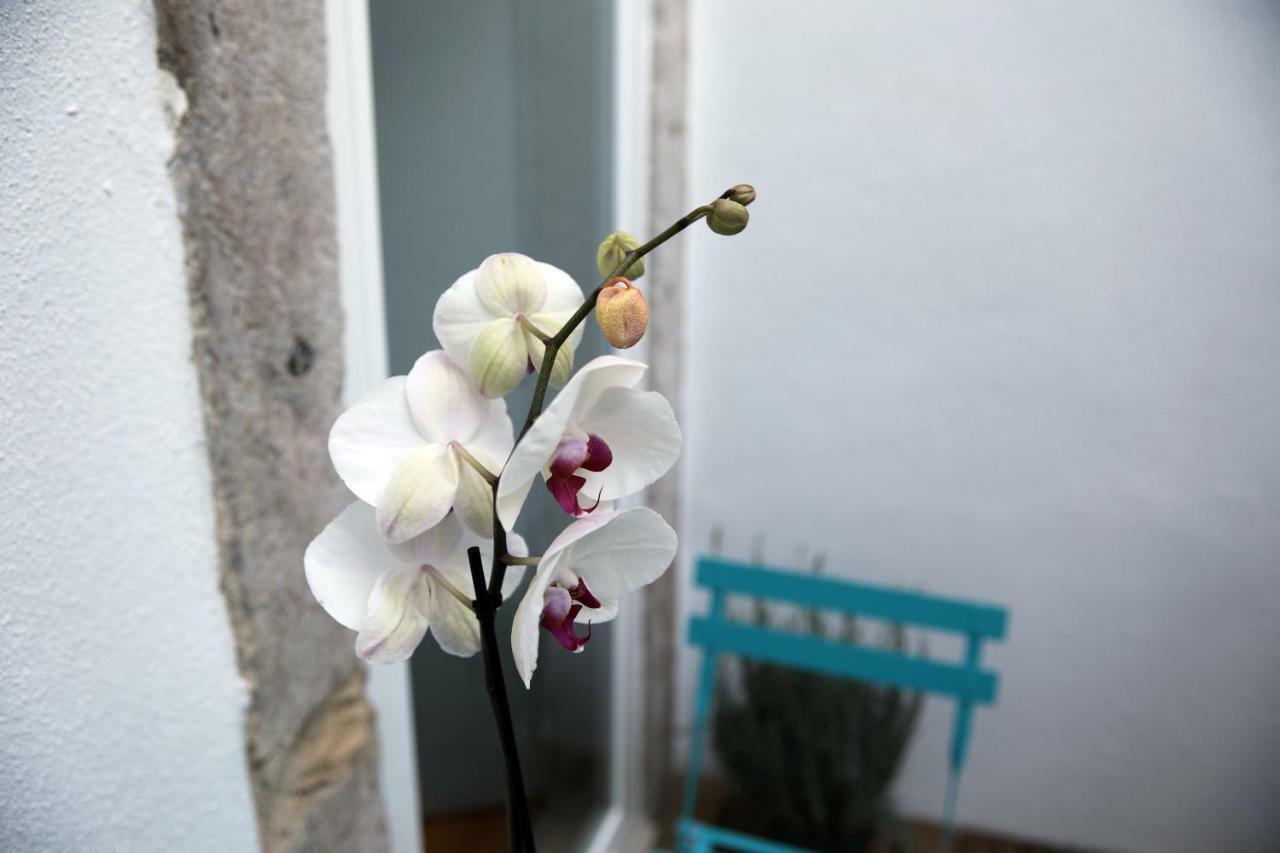Santo Amaro's House Appartement Lissabon