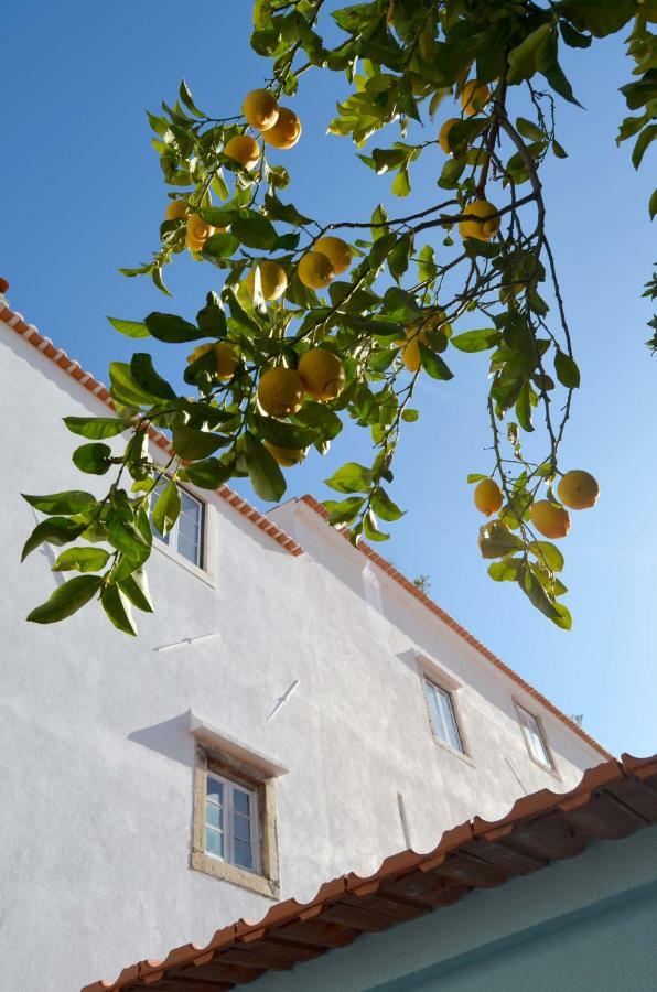 Proa D'alfama *