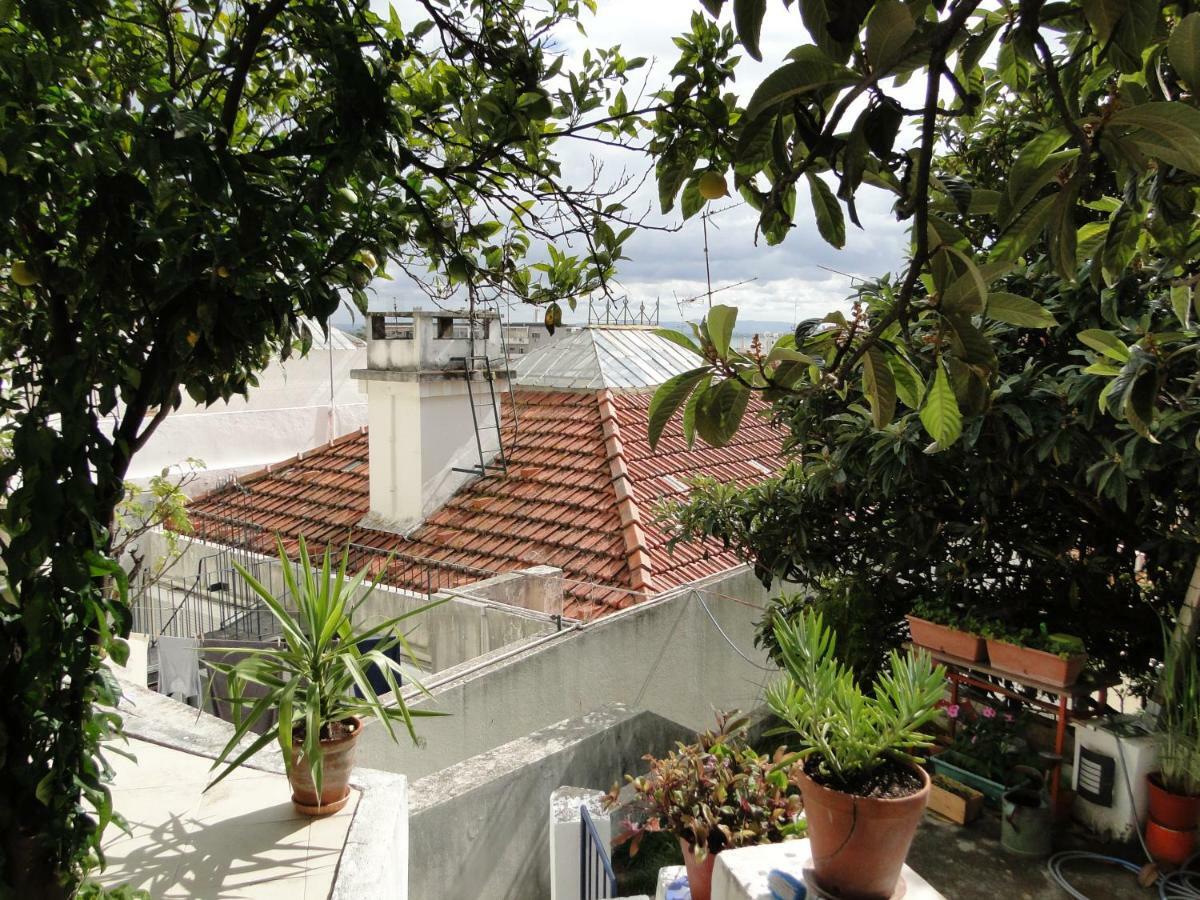 Apartment The Country In The Town Lisbon