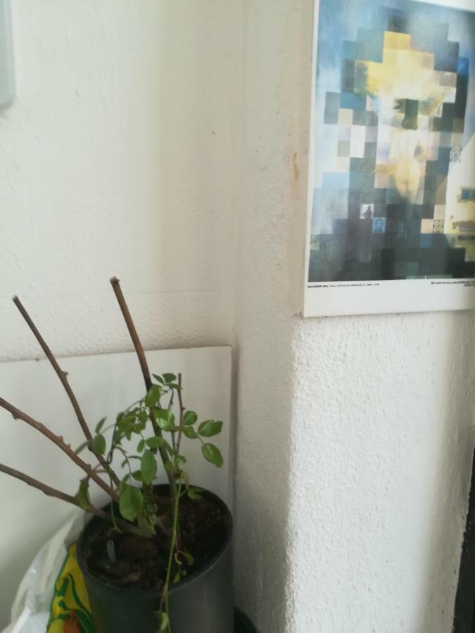 Freelisbonstudio