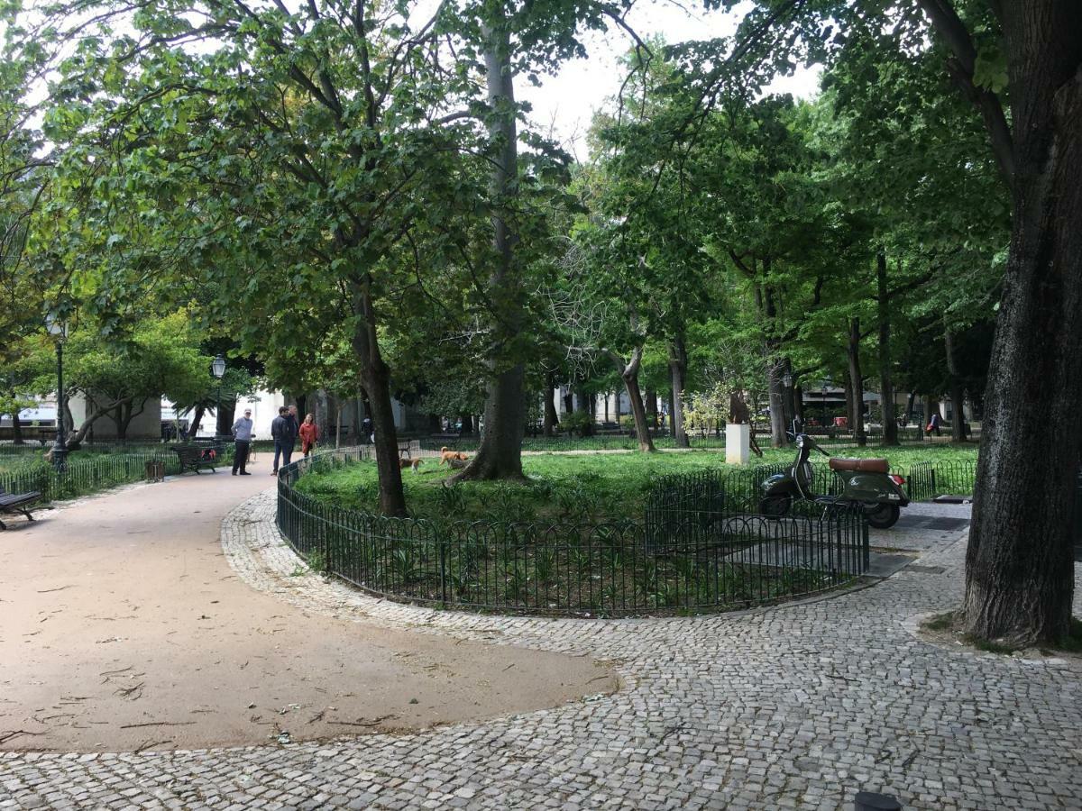 Jardim Amoreiras Apartment