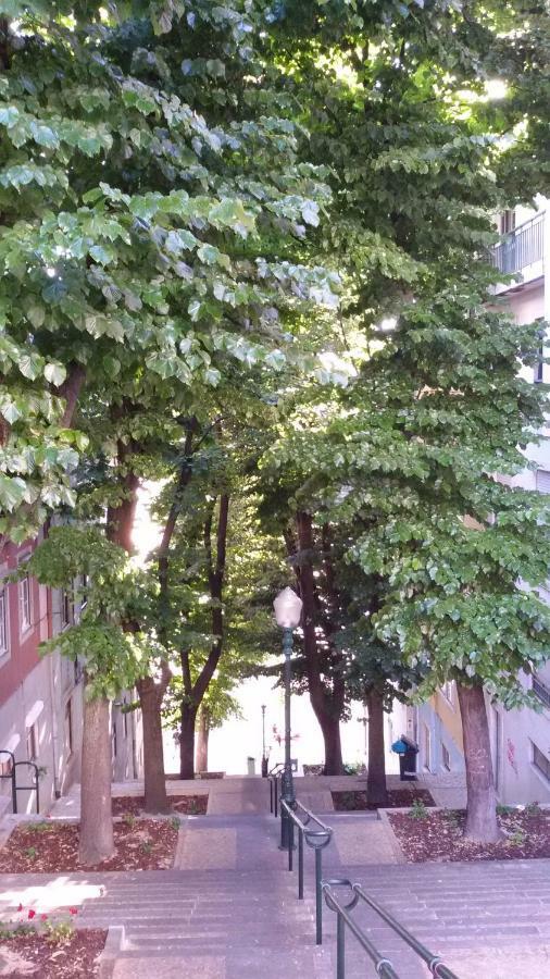 Sunny Orange Garden In * Lisboa
