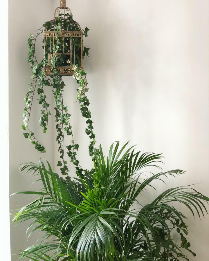 Appartement Fauna & Flora *
