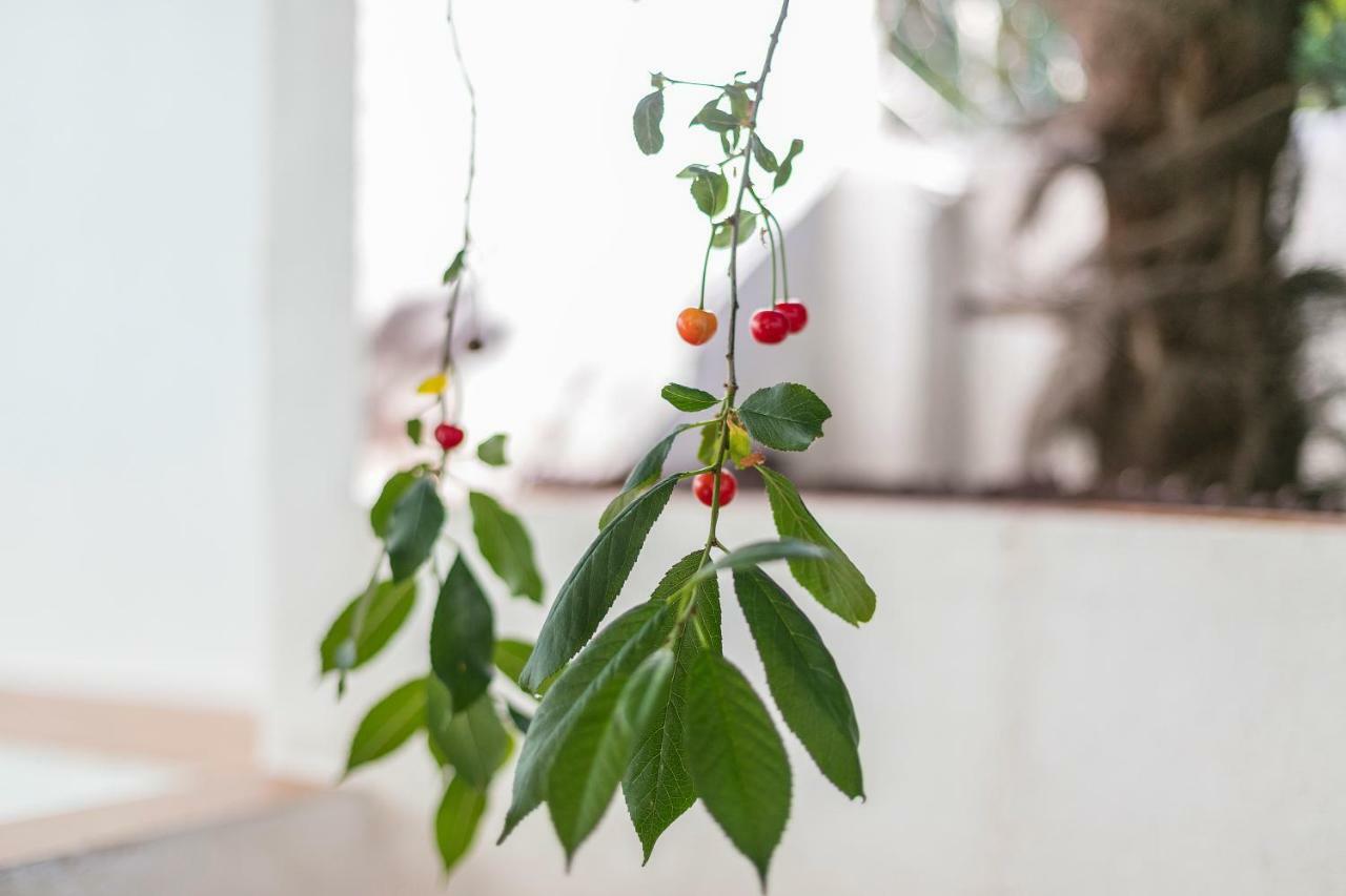 Fragrant Garden Appartement *