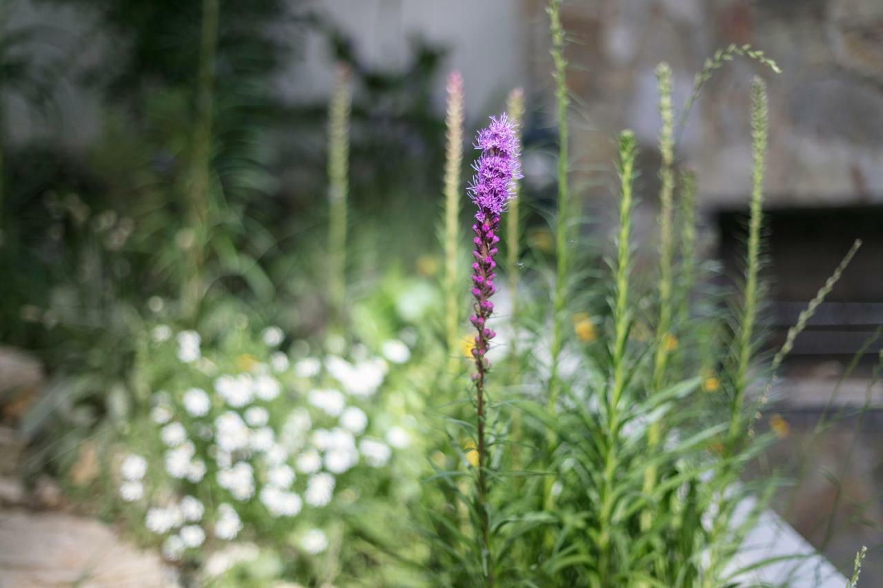 Fragrant Garden Lisboa