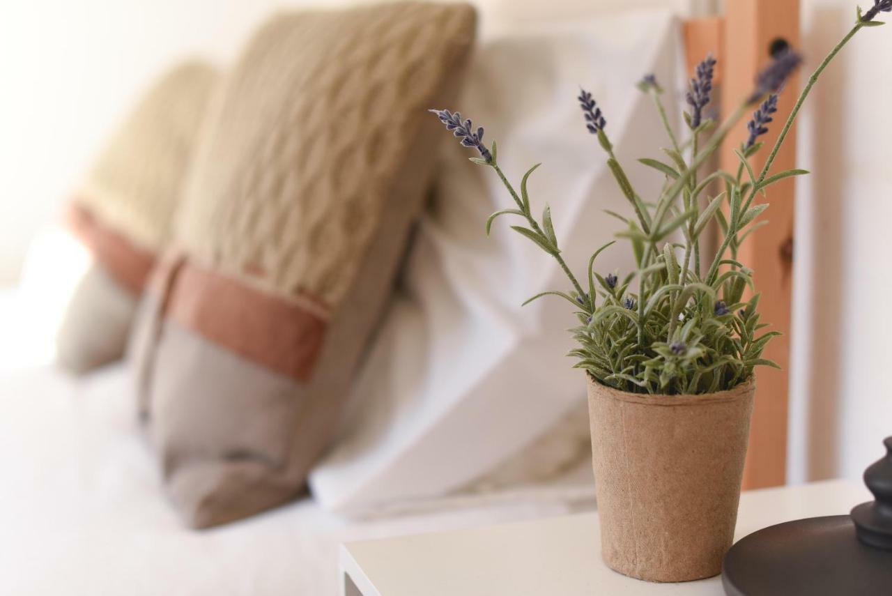 Apartment Charming - Center