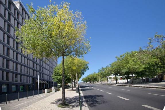 Apartamento In Entrecampos