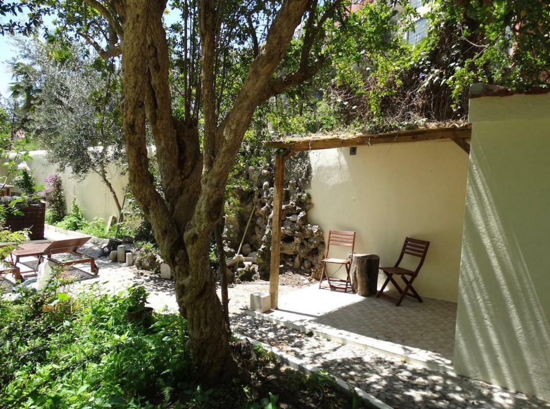 Graça Palace With Private Pool Garden Appartement Lisboa