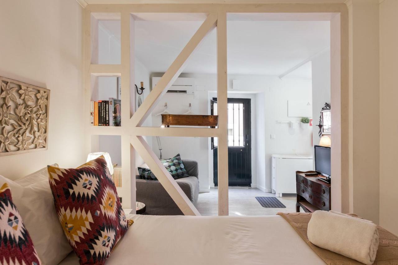 Typical And Brand New T.m. Flat Appartement