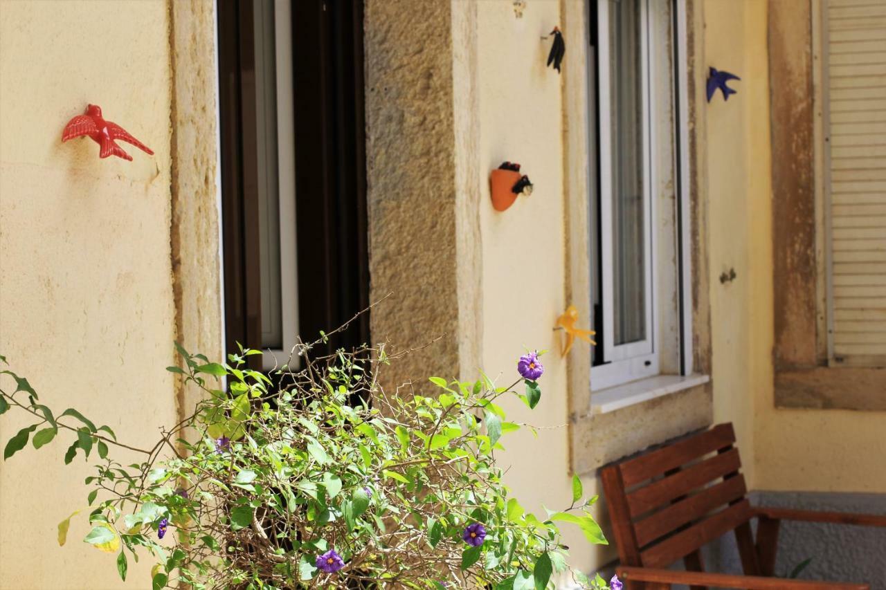The Back Street Nest *