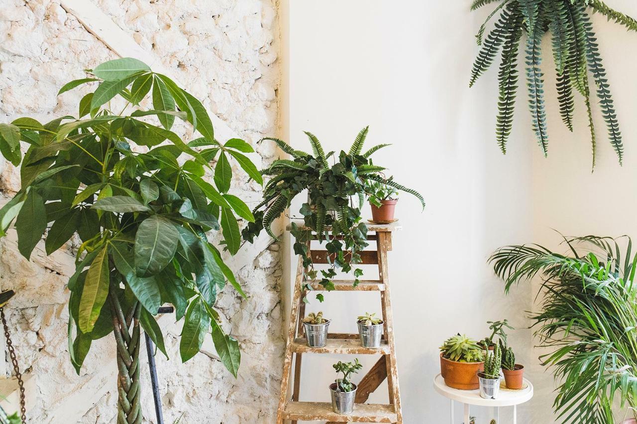 Appartement Fauna & Flora Lisboa