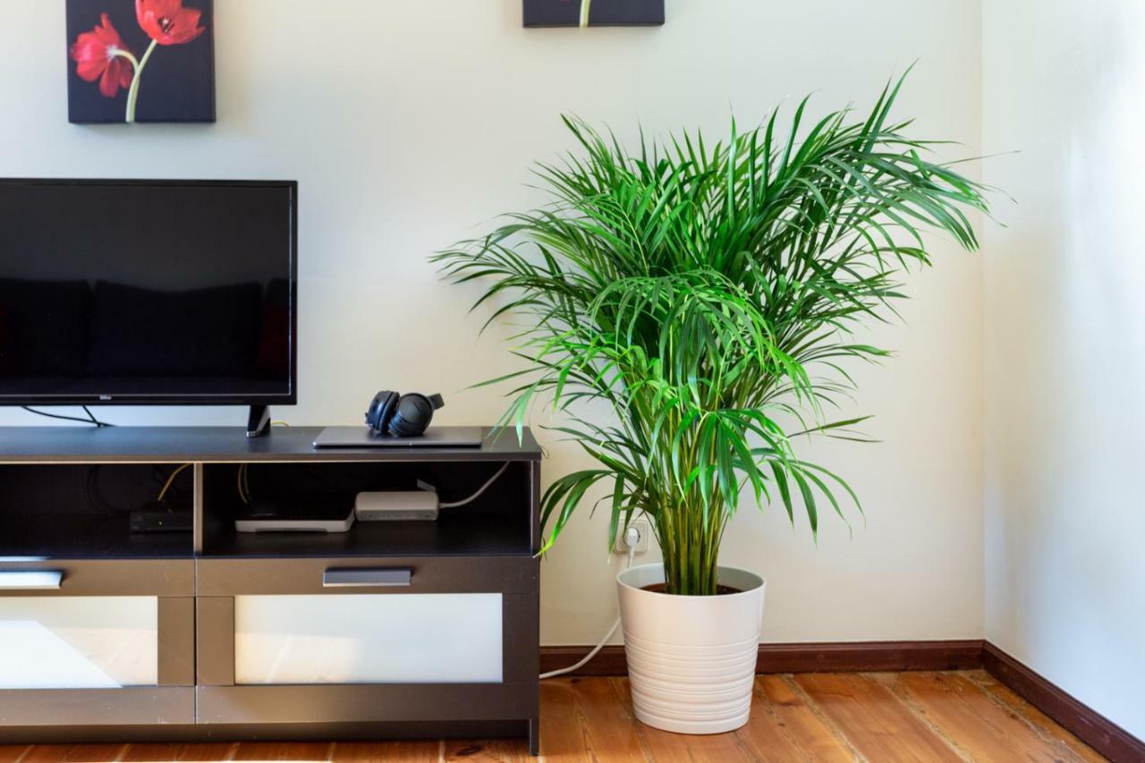 Appartement Joivy Downtown