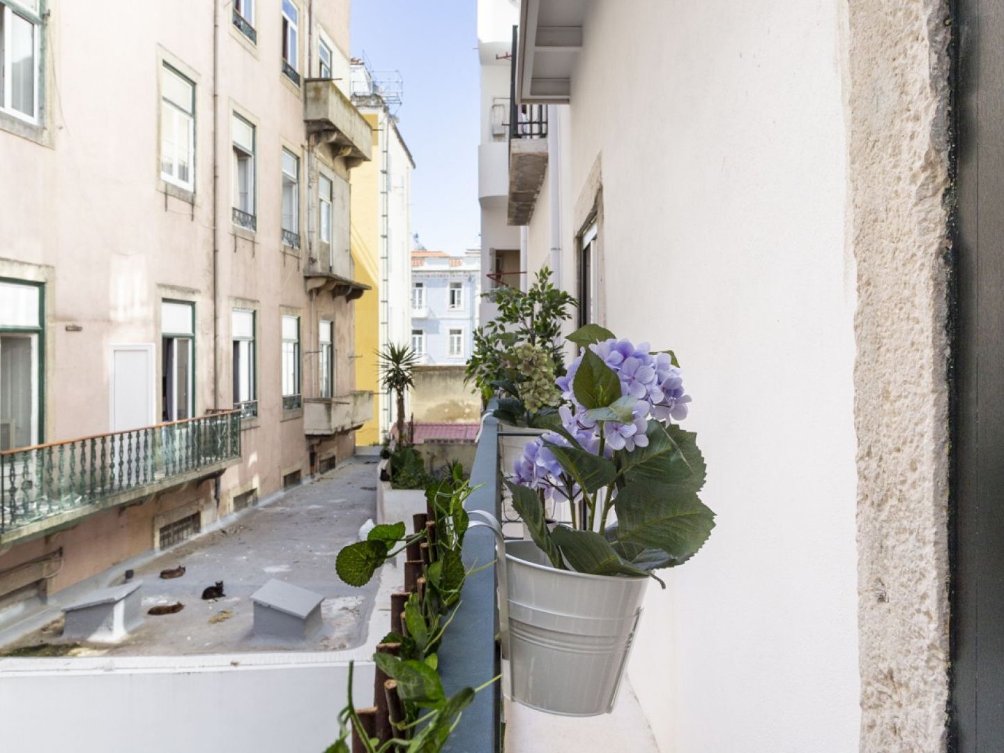 Altido Chic 1br Apt With Balcony Close By Graça Viewpoint&tram Stops Lisboa