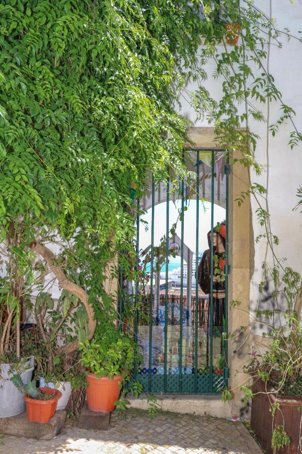 Apartment Indigo Moon's Secret Sanctuary In Alfama *