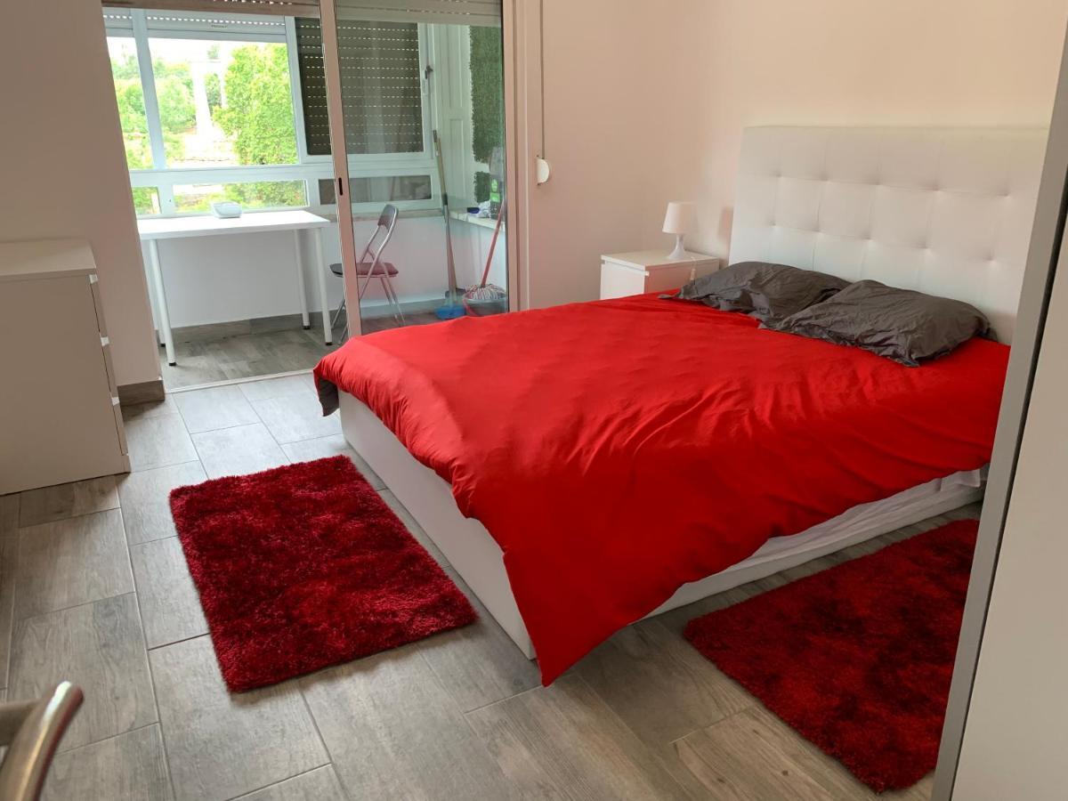 Vista Frontal Zoo Appartement
