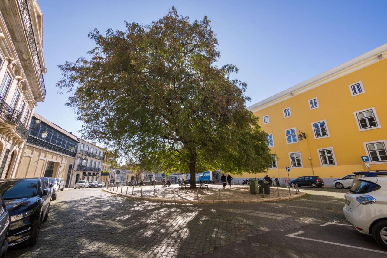 Nomad's Fine Arts In Chiado Lisbon